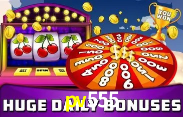 Explore as vantagens do pv555: serviço profissional e confiabilidade