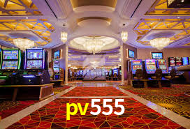pv555: A Experiência de Casino com Jogos de Mesa ao Vivo